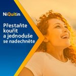 NIQUITIN FRESHMINT ORM 4MG GUM MND 100 I – Zboží Mobilmania