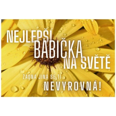 Kartička pro babičku – Zboží Dáma