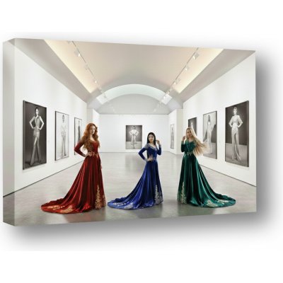 Vlastní rozměr fotoobrazu ART gallery rám 2x4 – Zboží Dáma