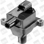 Zapalovací cívka BorgWarner (BERU) ZS309 – Hledejceny.cz