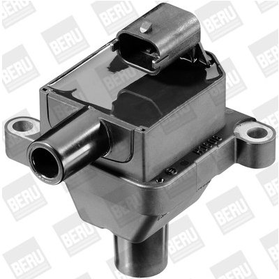 Zapalovací cívka BorgWarner (BERU) ZS309 – Hledejceny.cz