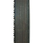 Scheppach Pilový pás 6/0,36/1490mm, 6 z/´´, použití dřevo, plasty pro Basato/Basa 1 – Sleviste.cz
