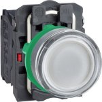 Schneider Electric XB5AW31B5C0 BI – Hledejceny.cz