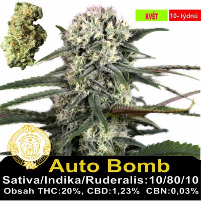 Green House Seeds Auto-Bomb semena neobsahují THC 1 ks – Zboží Mobilmania