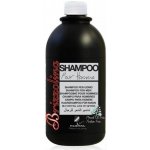Kléral System Brizzolina Shampoo For Men 1000 ml – Zbozi.Blesk.cz