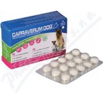 Capraverum Dog probiotikum-prebiotikum 30 tbl – Hledejceny.cz