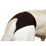 Sera Micron 50 ml – Zboží Dáma