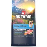 Ontario Puppy & Junior All Breeds Monoprotein Turkey & Sweet Potatoes 2,25 kg – Hledejceny.cz