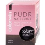 Colorwin Pudr na šediny černý 3,2 g – Zboží Dáma