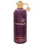 Montale Aoud Greedy parfémovaná voda unisex 100 ml tester – Hledejceny.cz