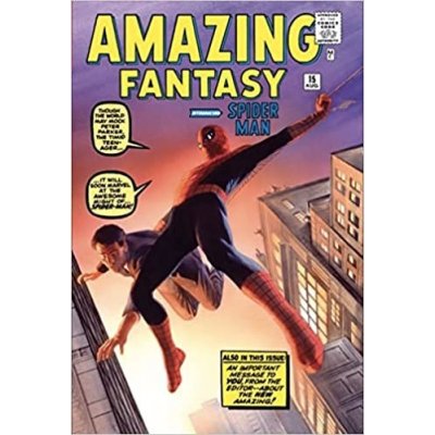 Amazing Spider-man Omnibus 1 - Stan Lee, Steve Ditko (ilustrátor), Jack Kirby (ilustrátor) – Hledejceny.cz