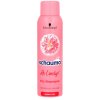 Šampon Schauma My Darling suchý šampon 150 ml