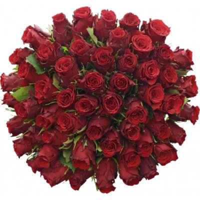 Red Torch Kytice 55 rudých růží 50 cm