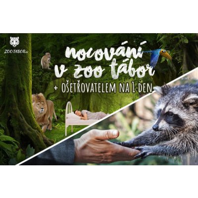 Nocování v ZOO Tábor včetně možnosti stát se ošetřovatelem zvířat – Hledejceny.cz