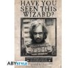 Plakát ABY style Plakát Harry Potter - Wanted Sirius Black 91,5 x 61 cm