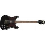 Epiphone Wilshire P-90S – Hledejceny.cz