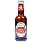 Fentimans Ginger Beer 275 ml – Zboží Dáma