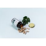 Tomas Arsov Hairbooster 2.0 90 kapslí – Hledejceny.cz
