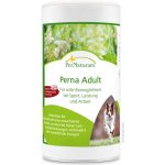 PerNaturam Perna Junior 100 g – Hledejceny.cz