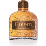 Golem Vyzrálá Meruňka 37,5% 1 l (holá láhev) – Zboží Dáma