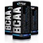 Muscle Sport BCAA 4:1:1 Pure 150 g – Hledejceny.cz