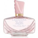 Parfém Jeanne Arthes Cassandra Rose Intense parfémovaná voda dámská 100 ml