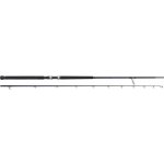 Westin W2 Rockshore Apex Predator H 2,95 m 60-160 g 2-Díly – Hledejceny.cz