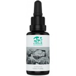 Kääpä Mushrooms Shiitake BIO tinktura 30 ml – Hledejceny.cz
