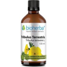 Tribulus terrestris tinktura Bioherba 100 ml