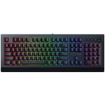 Razer Cynosa V2 RZ03-03400100-R3M1 – Hledejceny.cz