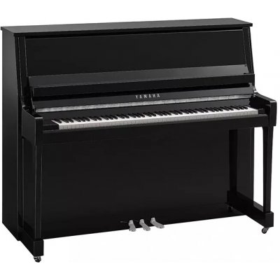 Yamaha B30 PEC – Zboží Dáma