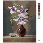 Zuty Malování podle čísel ZÁTIŠÍ ORCHIDEJ V ČERVENÉ VÁZE A MUŠLE PIETER WAGEMANS – Hledejceny.cz