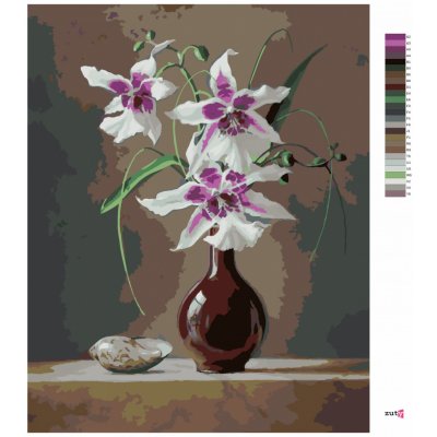 Zuty Malování podle čísel ZÁTIŠÍ ORCHIDEJ V ČERVENÉ VÁZE A MUŠLE PIETER WAGEMANS – Hledejceny.cz