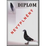 VIZINGR Holubáři diplom A4 č.1 Holub č.1 BEZ TEXTU – Zboží Mobilmania