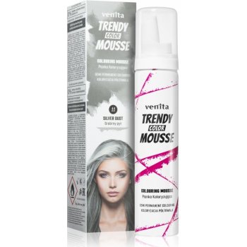 Venita Trendy Cream semi permanentní krémová barva na vlasy 11 Silver Dust 75 ml