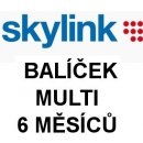 Skylink Multi 6 měs.