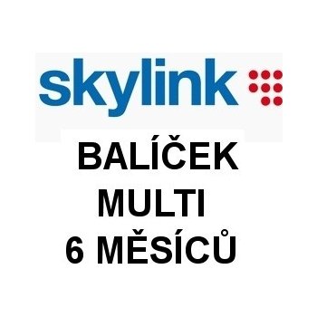 Skylink Multi 6 měs.