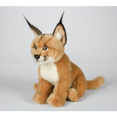 Karakal 25 cm – Hledejceny.cz