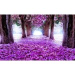 IMPOL TRADE 2379 Fototapeta alej květů rozměr 368 cm x 254 cm – Zboží Dáma