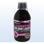 BioTech USA L-Carnitine 100000 500 ml – Hledejceny.cz