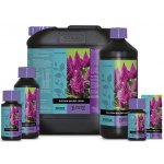 Atami B´Cuzz Blossom Builder Liquid 250 ml – Zboží Dáma