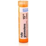 RUTA GRAVEOLENS POR 15CH GRA 4G – Hledejceny.cz