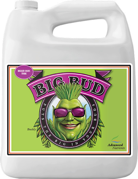 Advanced Nutrients Big Bud 4 l