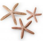 BiOrb Star Fish Decor Set natural 12, 10 a 8 cm – Zbozi.Blesk.cz