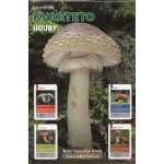 Mičánek Kvarteto: Houby – Hledejceny.cz