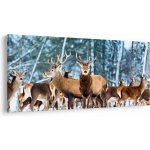 Obraz - Stádo jelenů, jednodílný 250x125 cm – Hledejceny.cz