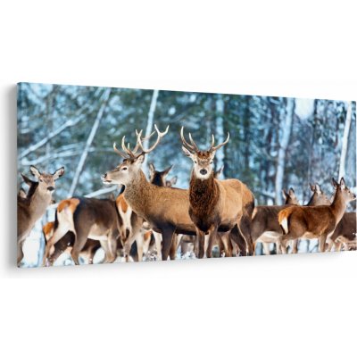 Obraz - Stádo jelenů, jednodílný 250x125 cm – Hledejceny.cz