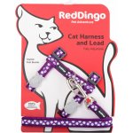 Red Dingo postroj s vodítkem pro kočky White Spots on Purple 12 mm – Sleviste.cz