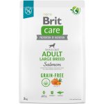 Brit Care Grain-free Adult Large Breed Salmon 3 kg – Hledejceny.cz