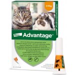 Advantage Spot-on pro malé kočky a králíky 40 mg 4 x 0,4 ml – Zbozi.Blesk.cz